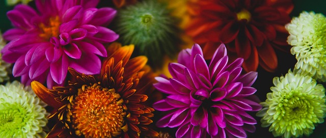 战米尔沃尔 战米尔沃尔