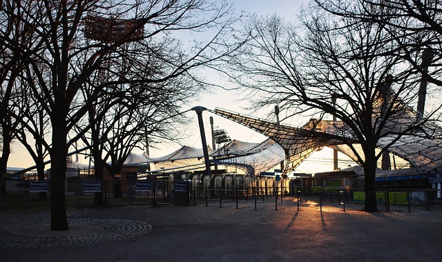 强壮的腿部 强壮的腿部