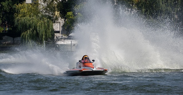 新疆铁饼名 新疆铁饼名
