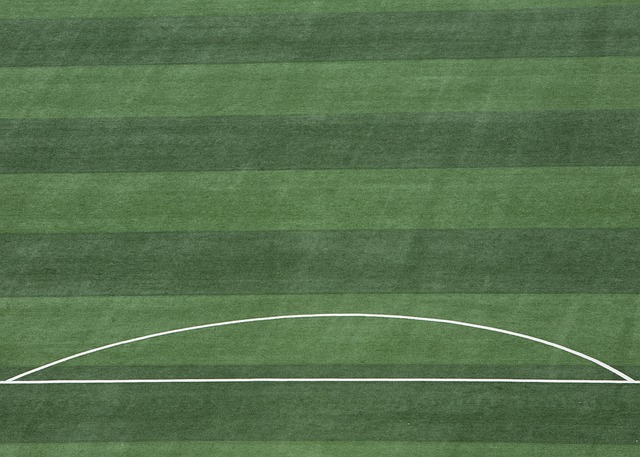 而是他多年 而是他多年