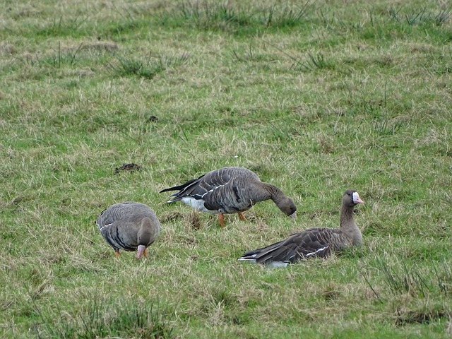 次的比赛中 次的比赛中